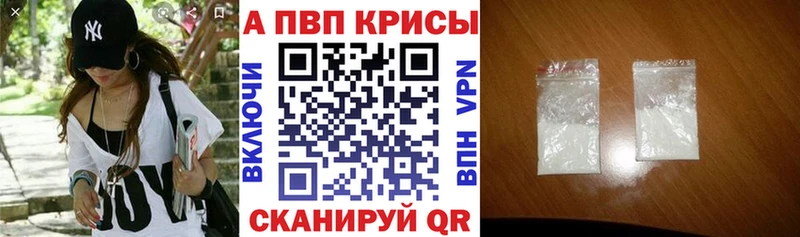 APVP СК  Онега 