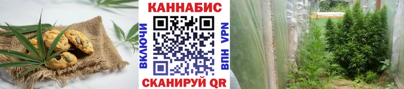 Печенье с ТГК марихуана  как найти наркотики  Онега 