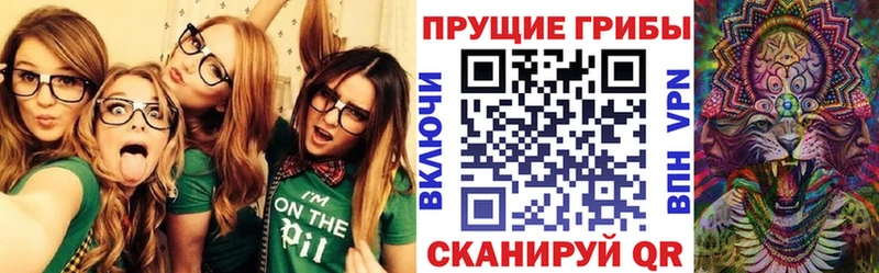 Псилоцибиновые грибы прущие грибы Онега